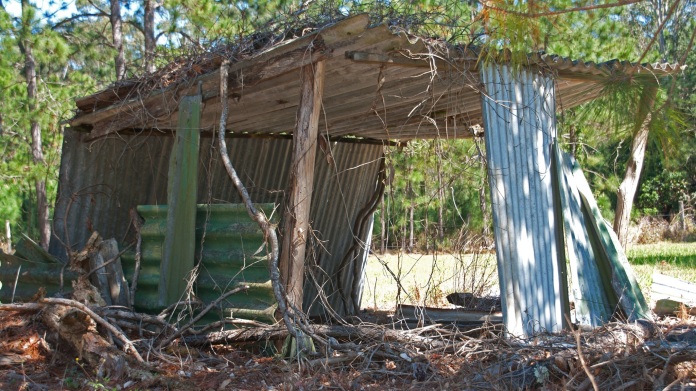 Old Shelter by Leonard J Matthews on flickr
